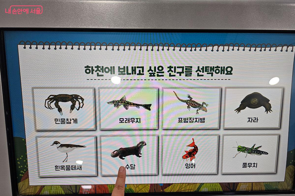 하천에 보낼 생물들을 골라 보세요. &copy;홍혜수 