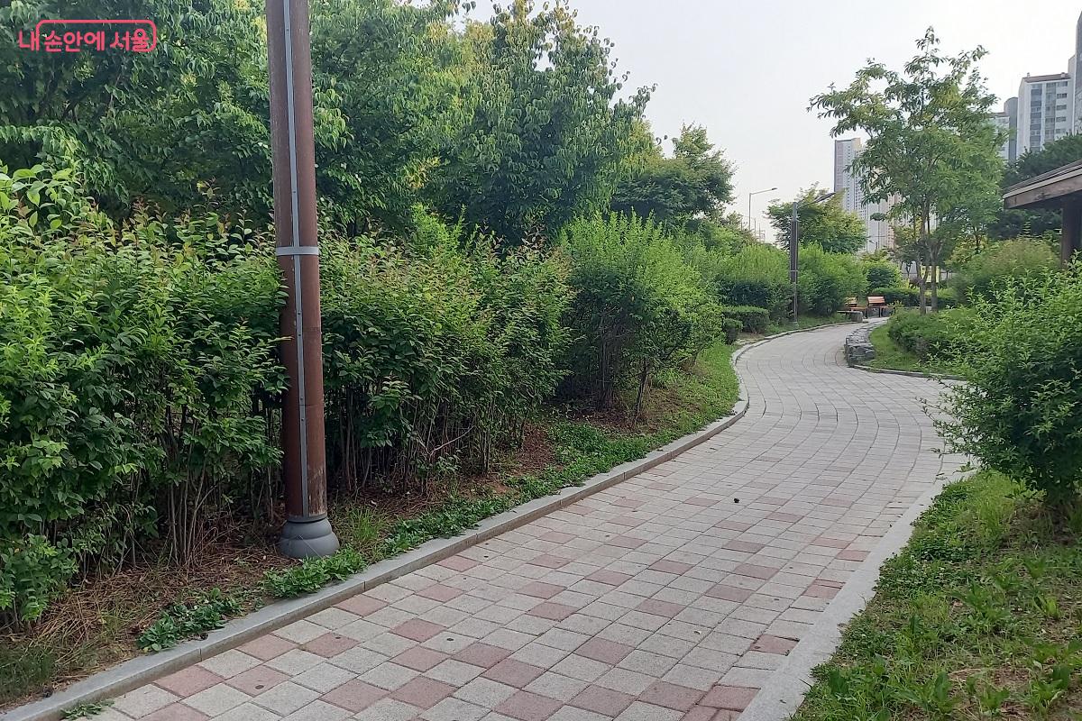 ‘손목닥터9988’ 덕분에 산책길이 즐거워졌다. ©박유진