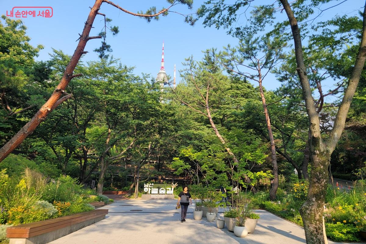 남산 하늘숲길 입구 전경과 주변 녹지 풍경 &copy;조연