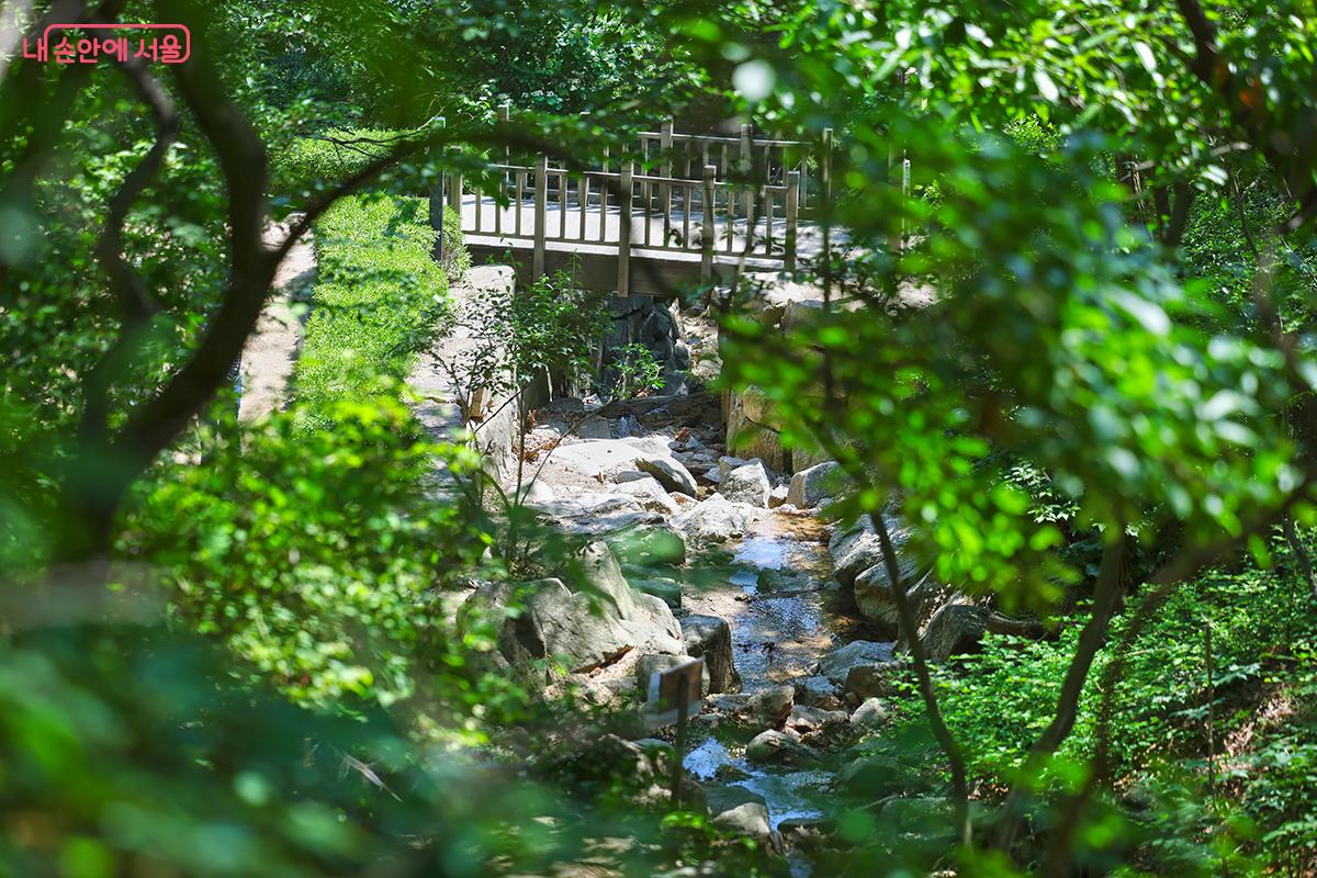 올여름 더위에 찾아가고 싶은 수성동계곡 풍경 &copy;김주연