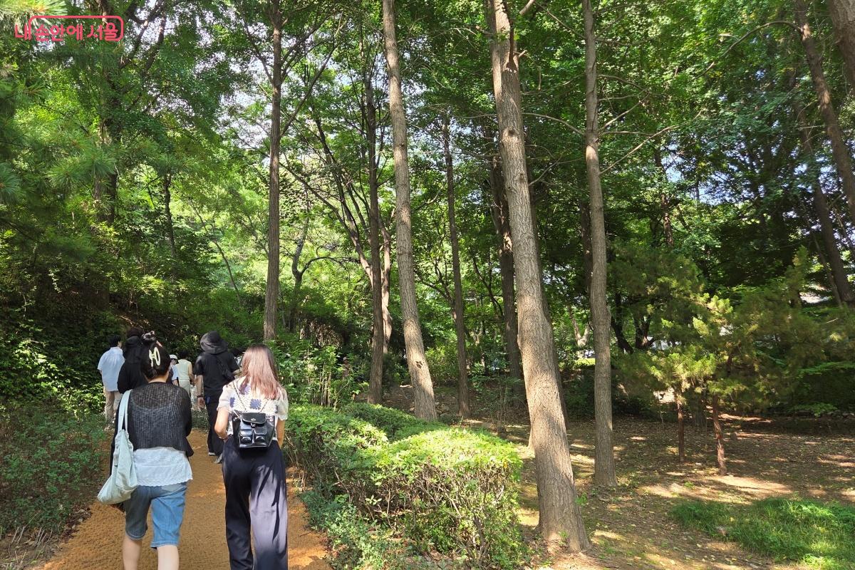 짙은 녹음이 우거진 은행나무 아래를 거닌다. &copy;김미선