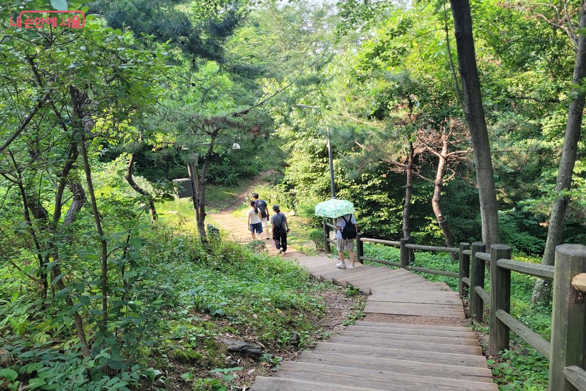한국숲정원과 연결된 남산둘레길 계단길 풍경 &copy;조연