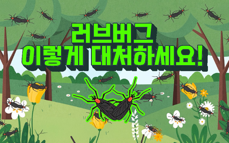 러브버그와 자연스럽게 헤어지는 법! 친환경 방제&middot;대처법