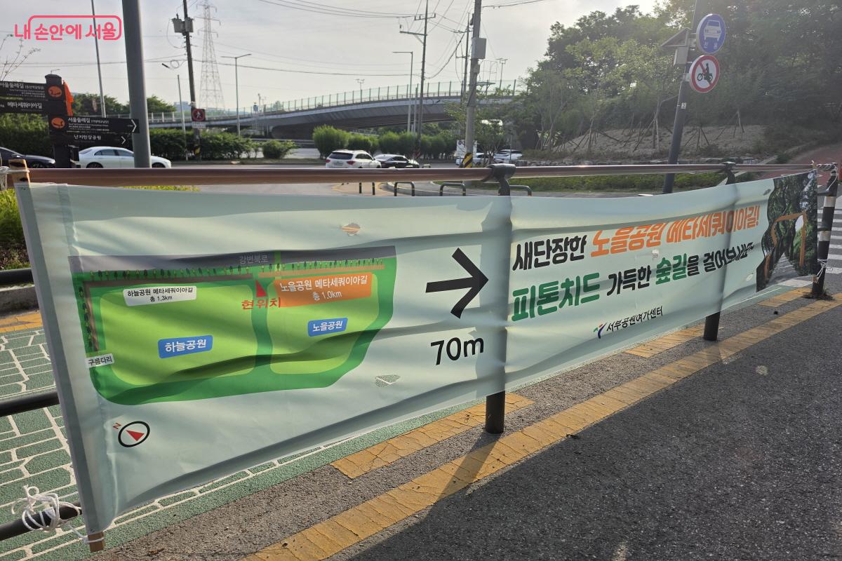 새 단장한 노을공원 메타세쿼이아길 ©심재혁