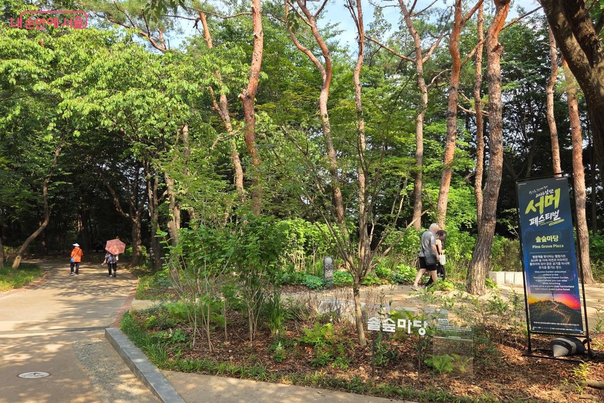 숲 아래 자연과 어우러진 돌의자에 앉아 쉴 수 있는 웰컴가든 솔숲마당 &copy;김미선