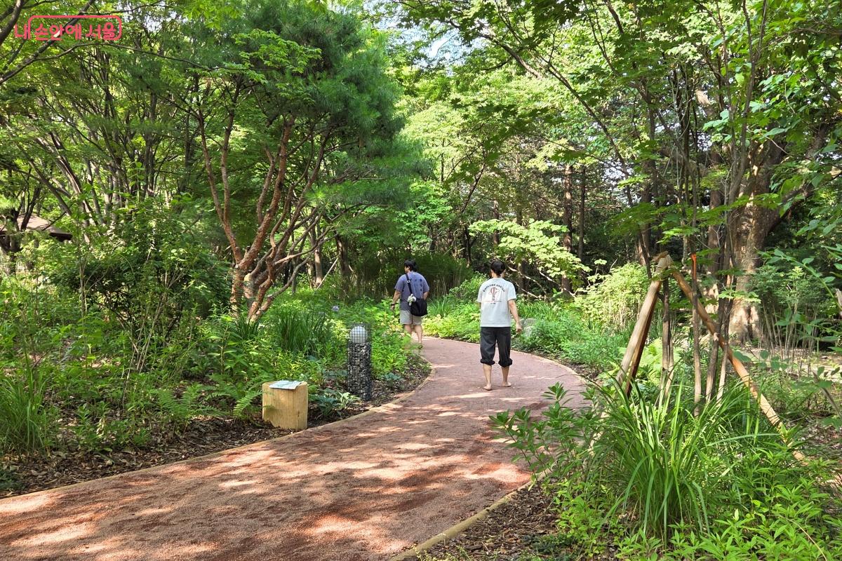 숲속에 조성된 맨발길 &copy;김미선