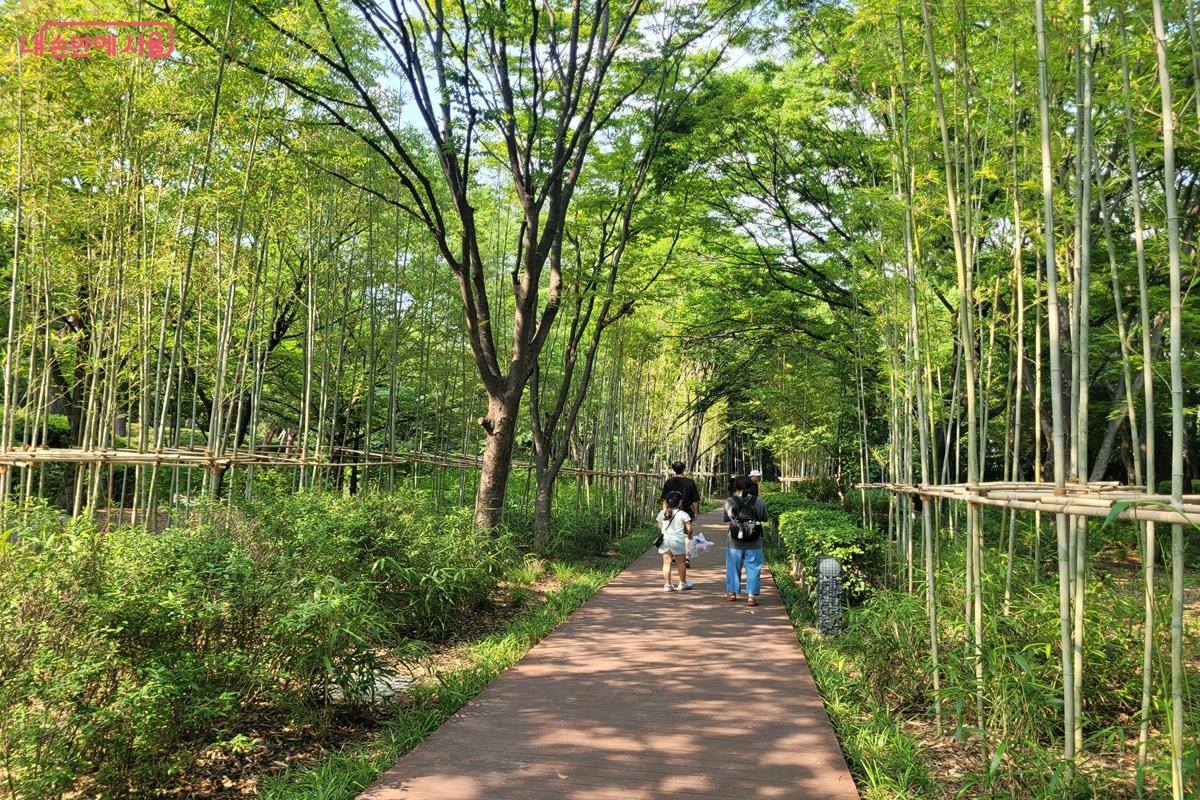 남산 한국숲정원 죽림원 대나무길을 산책하는 시민들 &copy;조연