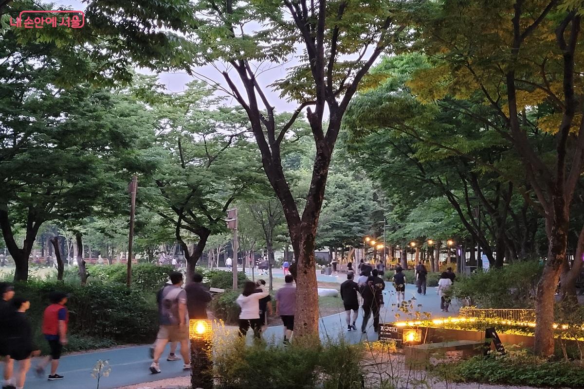 저녁 시간 조명이 켜진 보라매공원 산책로를 걷는 시민들