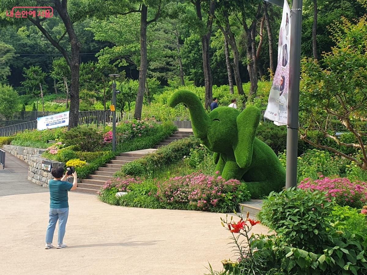 '초안산수국동산'에는 다양한 포토존이 관람객을 반긴다. ©김병규