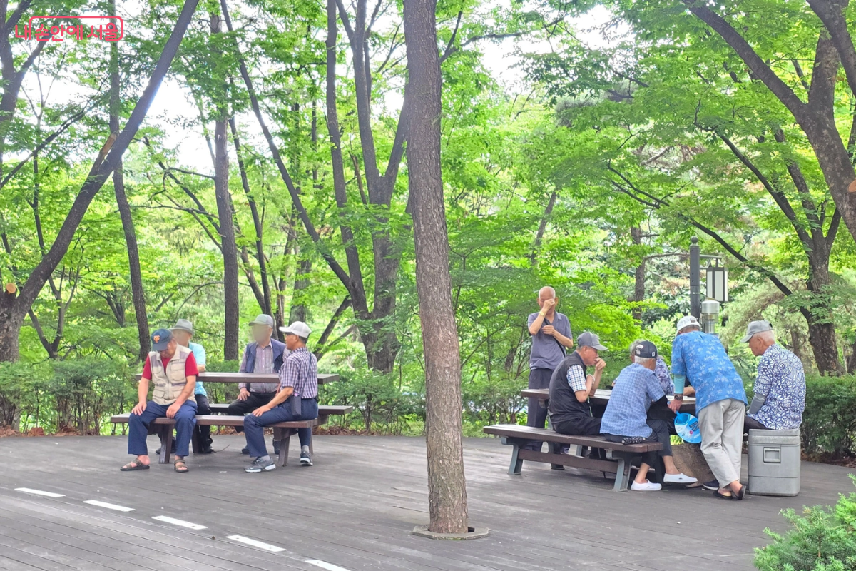 공원에서 삼삼오오 모인 어르신들. 친구들과 모임을 가지는 것도 치매 예방에 좋은 습관이다. ©김선희
