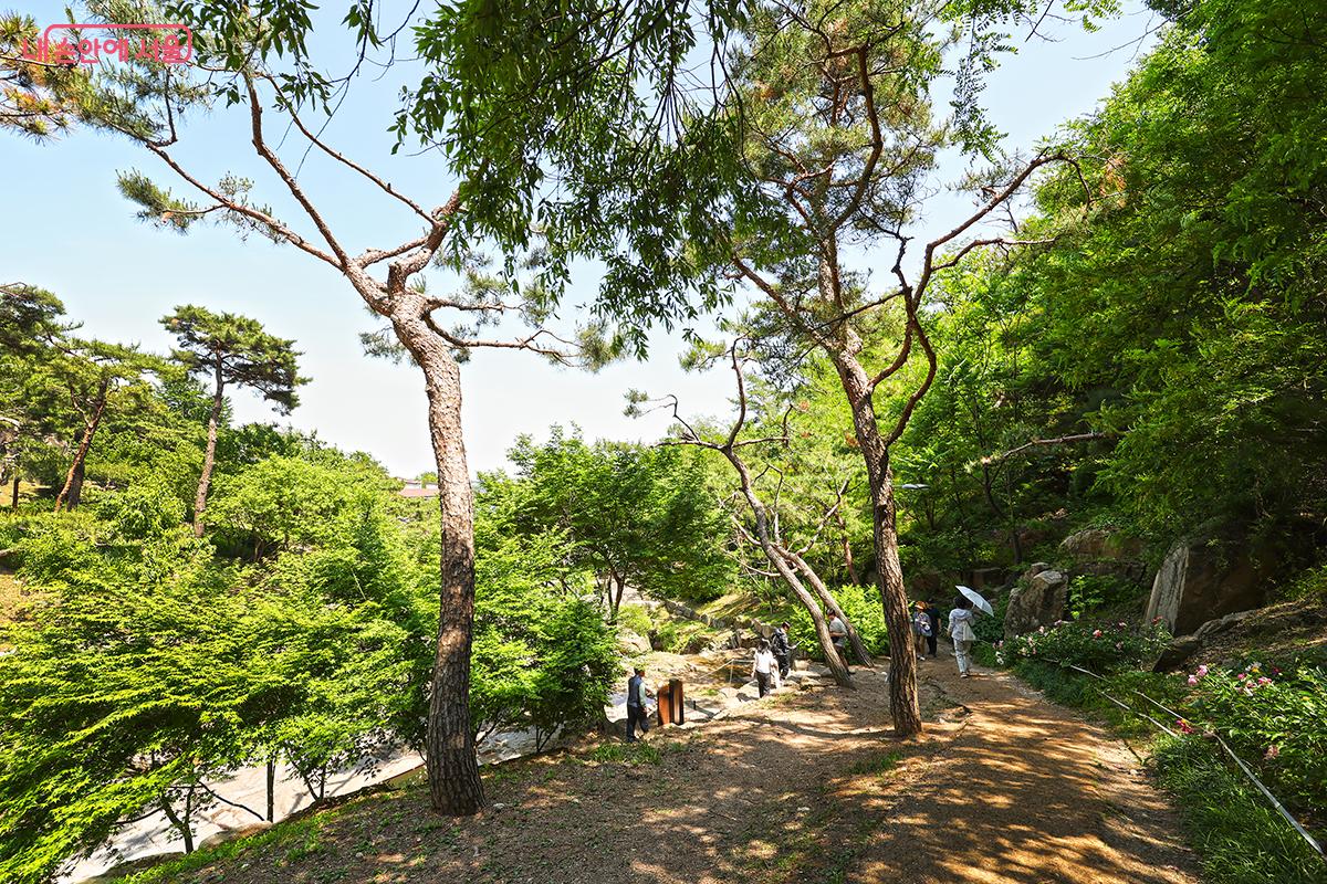 계곡 옆 산책길을 따라 산책을 즐겨도 너무 좋다. &copy;김주연