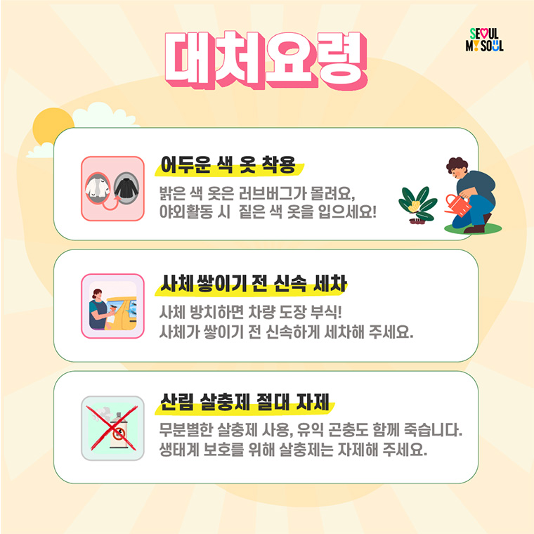 대처요령 2