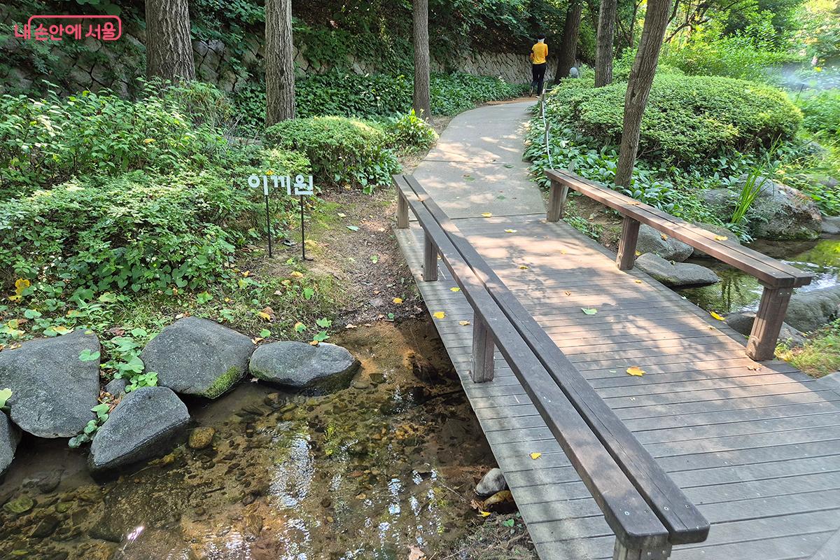 &lsquo;이끼원&rsquo;은 남산 숲과 어우러진 다양한 이끼 군락을 보여준다. &copy;정향선