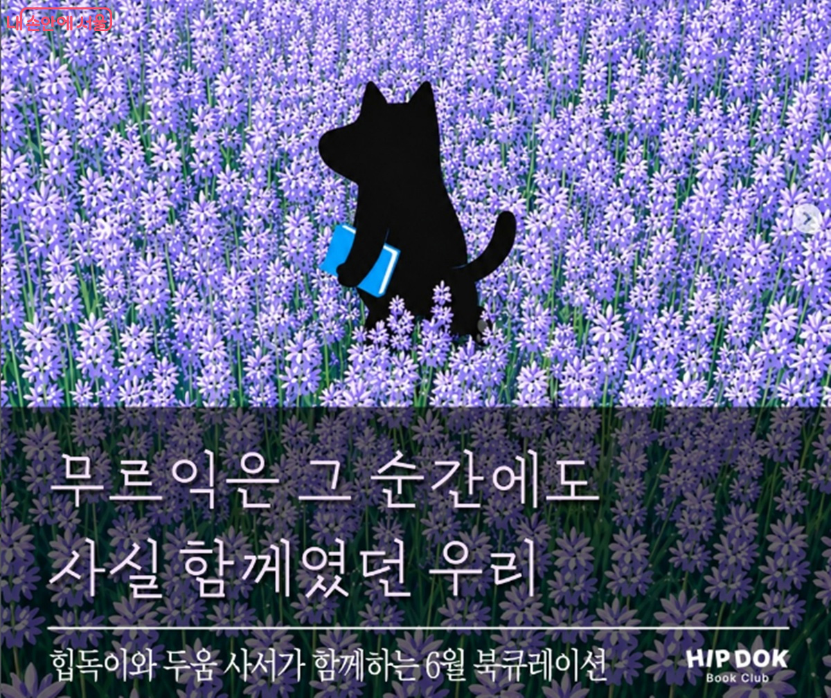 힙독클럽에서 다 함께 읽어온 완독도서. 힙독클럽에서는 북큐레이션 작가와의 만남, 리딩몹 등 다양한 프로그램을 진행한다. &copy;힙독클럽 