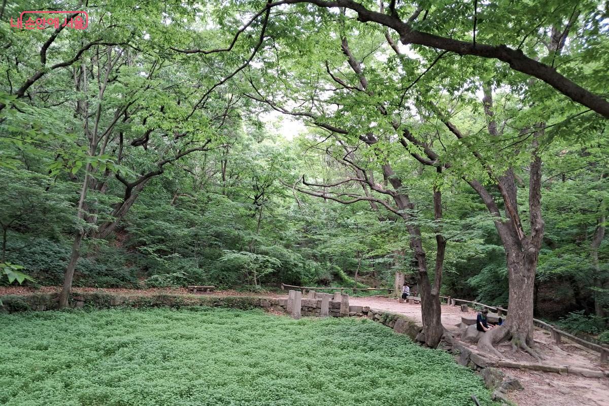 울창한 나무들이 그늘을 만들어 시원한 분위기를 자아내는 백사실계곡 ©장형진