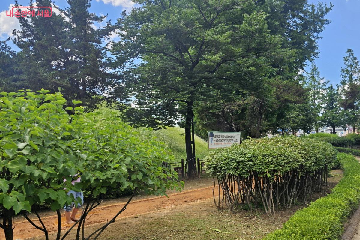 새롭게 맨발로 걷는 황토길도 조성되었다 ⓒ염지연