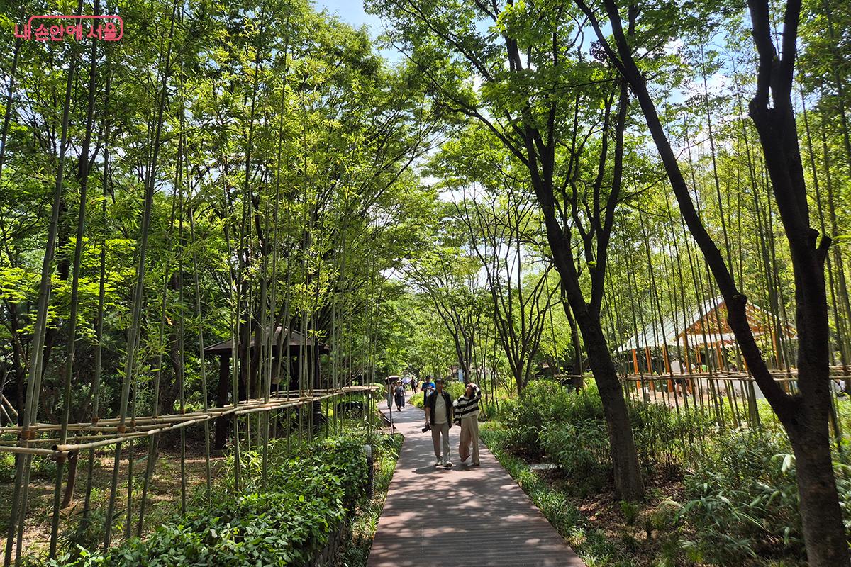 한국의 대나무숲이 지닌 고요한 정취와 여백의 미를 온전하게 느끼도록 조성되었다. &copy;정향선