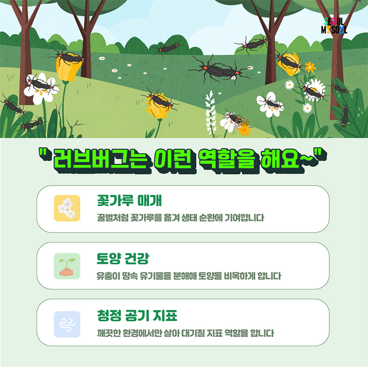 러브버그는 이런 역할을 해요