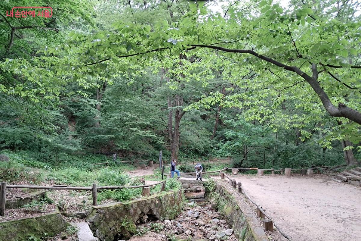 도롱뇽 서식처라는 안내 표지를 보고 계곡에서 직접 확인하고 있는 방문객 ©장형진