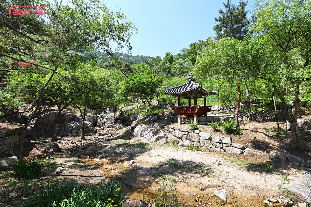 서울에 이런 풍경이? 수성동 계곡에서 만난 푸른 녹음 &copy;김주연