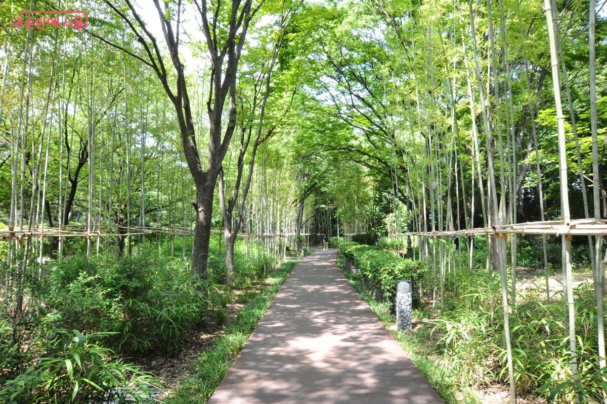 대나무 숲으로 조성된 &lsquo;죽림원&rsquo;은 담양 죽녹원을 모티브로 조성했다. &copy;조수봉