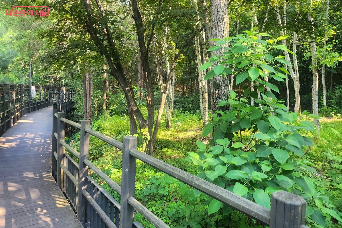 손목닥터9988 앱을 켜고 산책로를 걸으며 운동하고 포인트를 모았다. &copy;장지영