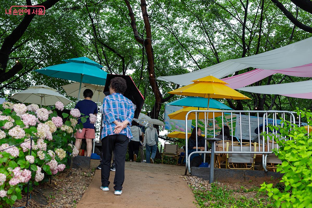 비 오는 날, 우산 속 낭만과 푸드트럭의 맛 ⓒ문청야