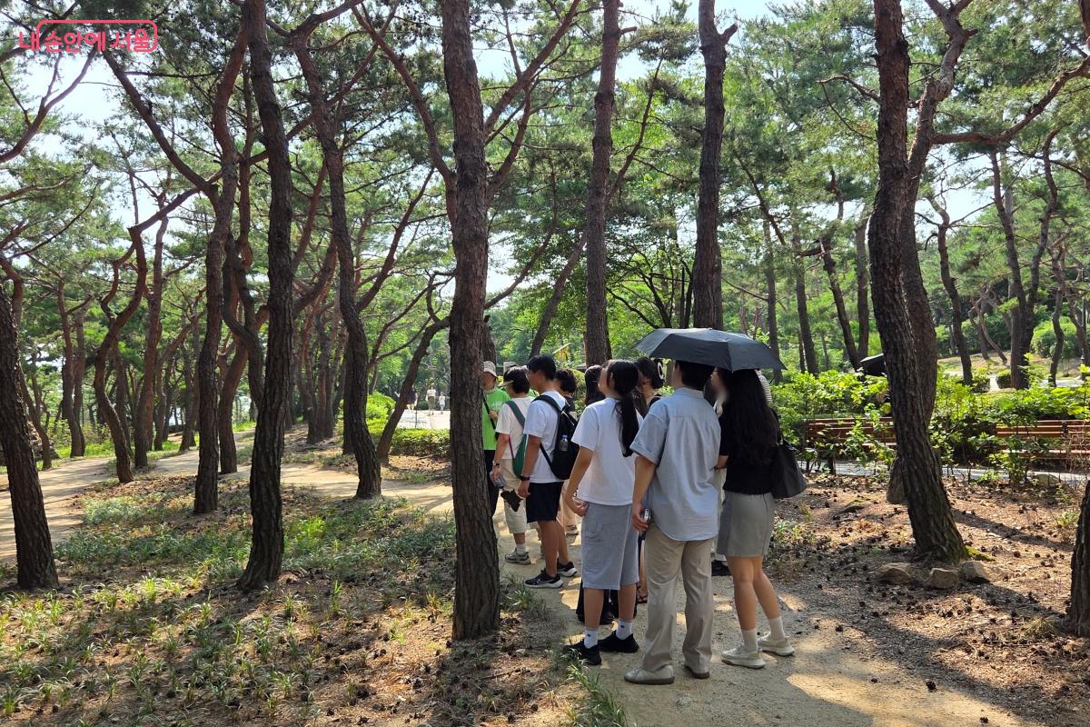 솔숲원의 소나무 사이 길을 걸으며 흙을 밟아 보았다. &copy;김미선