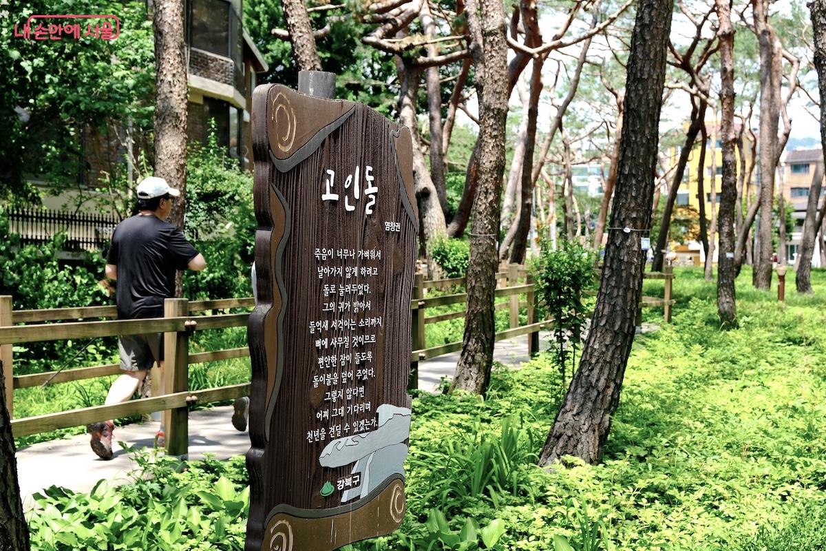 산책로를 따라 초여름 가벼운 운동을 즐기고 있는 시민들