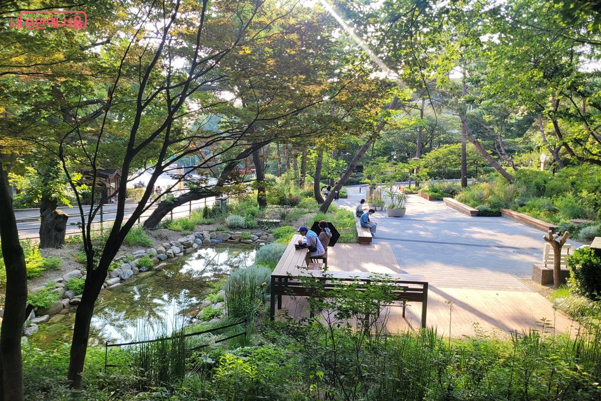 남산 한국숲정원 내 연못과 데크 쉼터에서 휴식을 즐기는 시민들 ©조연