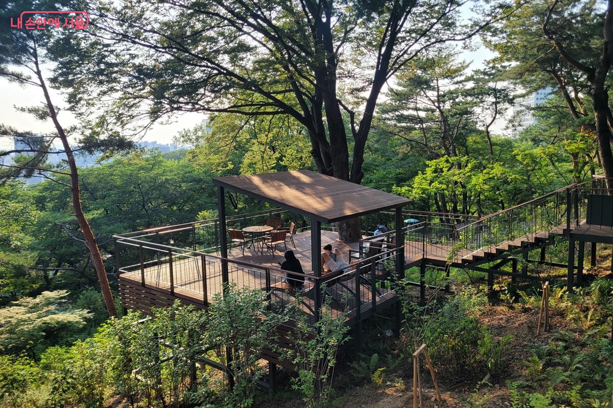 남산 하늘숲길 전망 쉼터와 숲속 휴게 공간 &copy;조연
