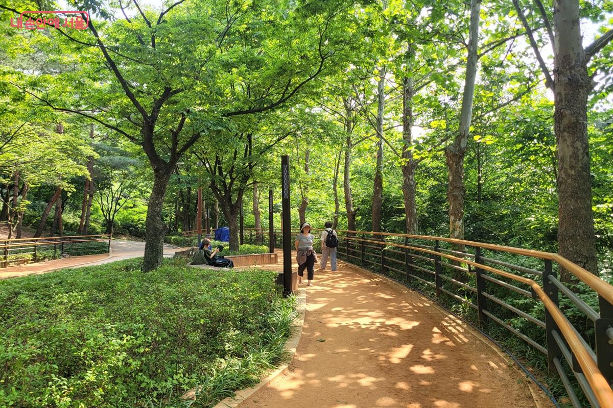 울창한 숲 그늘 아래 조성된 용마폭포공원 맨발길 &copy;조연