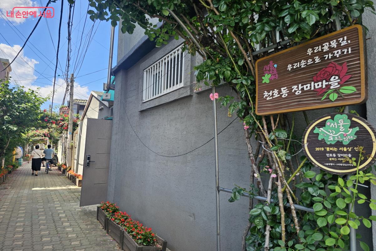  '꽃피는 서울상'을 받은 장미조성거리 ⓒ염지연