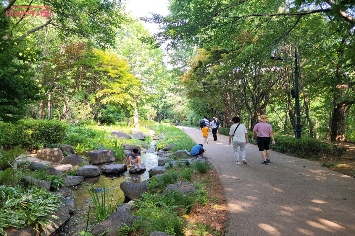남산 실개천과 산책로를 이용하는 시민들 &copy;조연