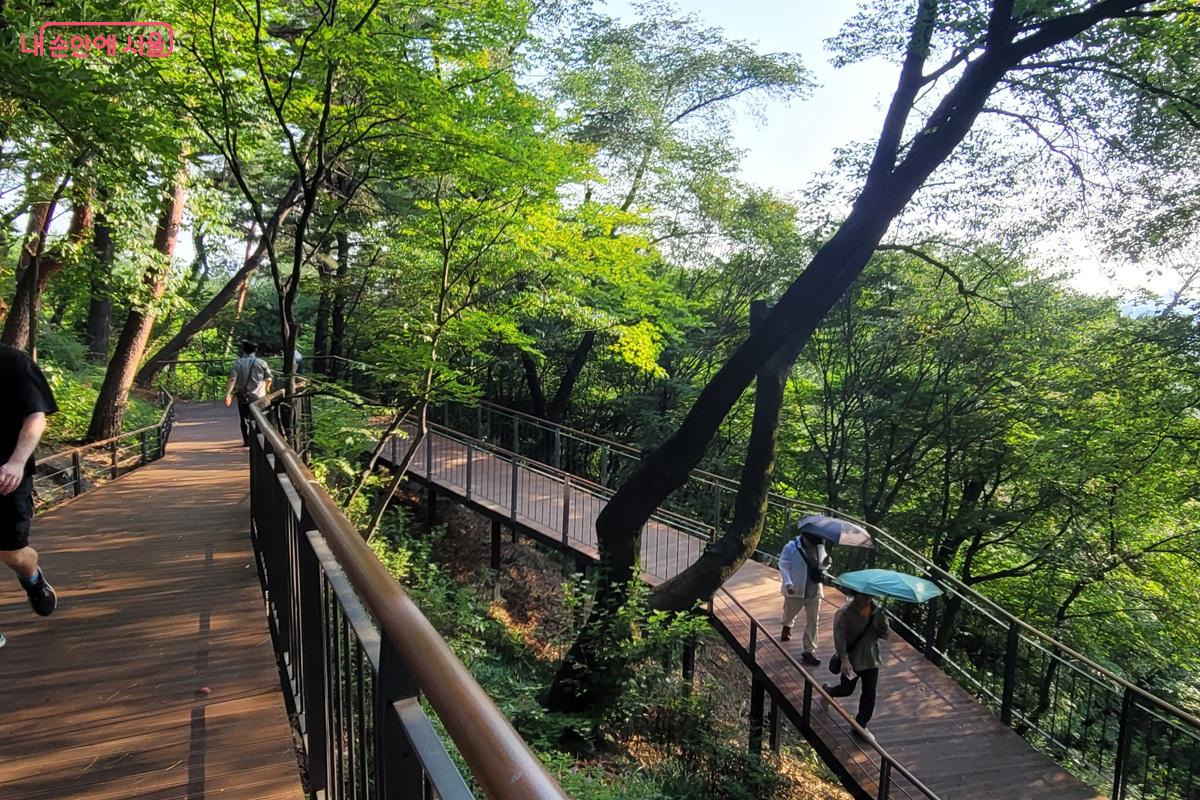 숲 사이로 이어진 하늘숲길 데크 &copy;조연