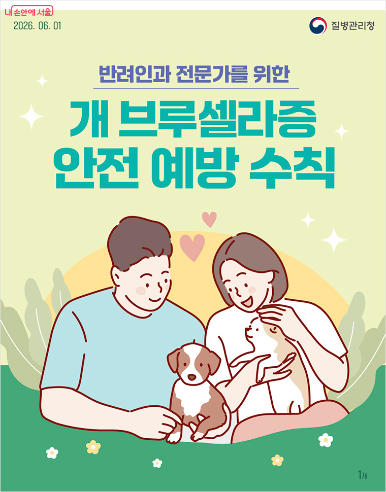 반려인과 전문가를 위한 개 브루셀라증 안전 예방 수칙