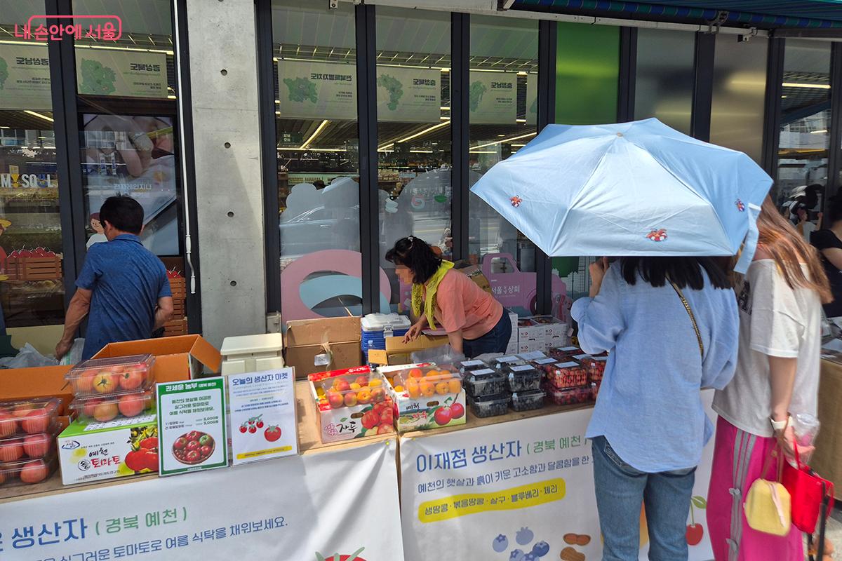 월별 기획전 6월의 주인공인 예천 '토마토'