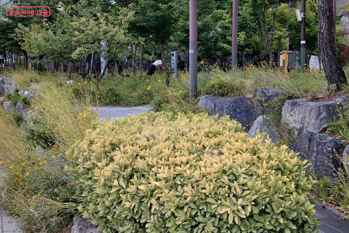 홍제천 주변 공원