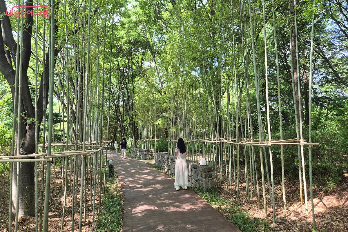 시민들은 죽림원 속을 걸으며 정원과 숲이 자연스럽게 어우러진 아름다움을 경험한다. &copy;정향선