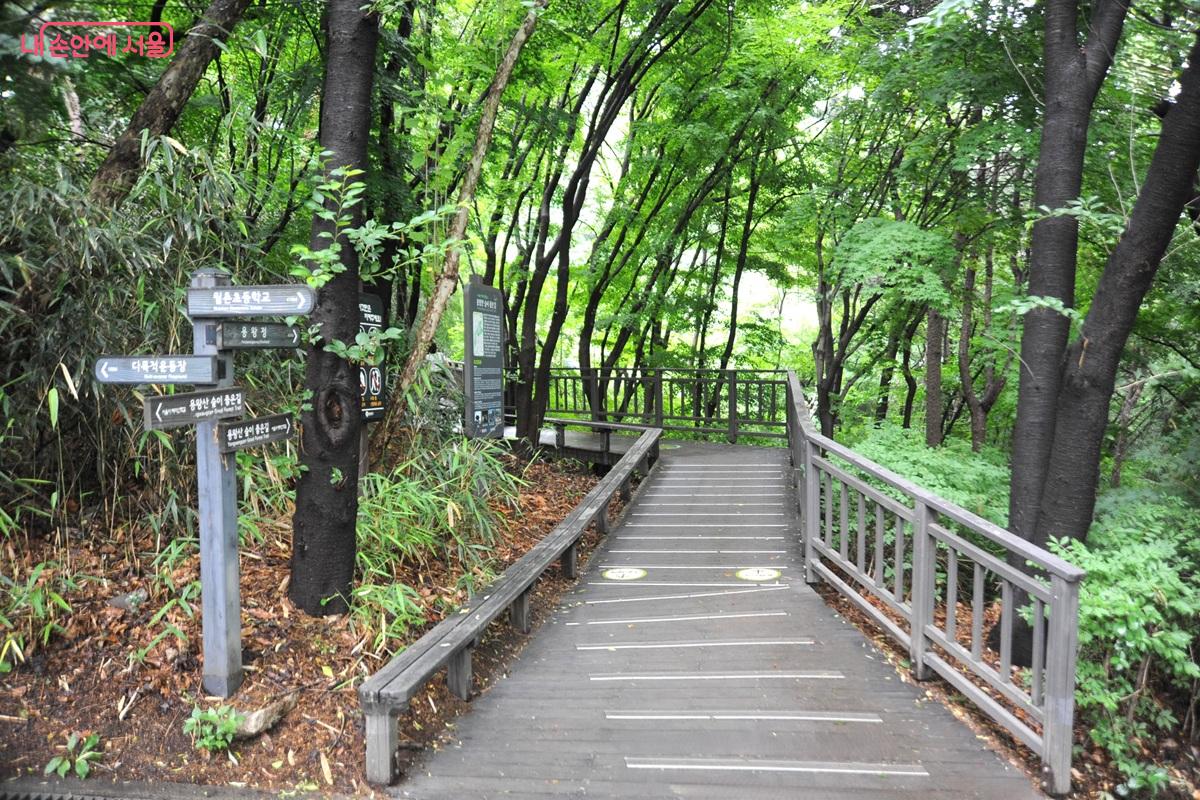 서울시 테마 산책길인 &lsquo;용왕산 숲이 좋은 길&rsquo;을 따라가면 다다르는 스카이워크 전망대 &copy;조수봉
