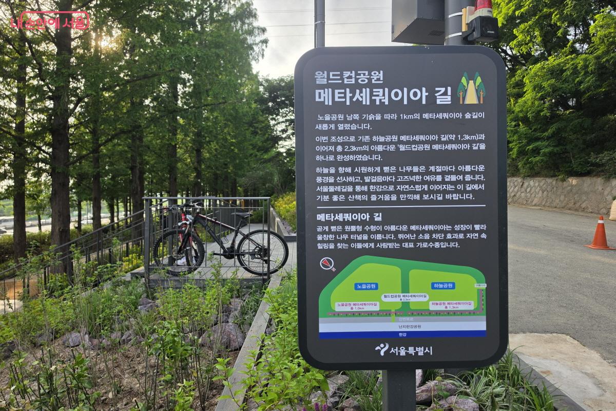 안내판의 설명과 함께 시작된 메타세쿼이아길 ©심재혁