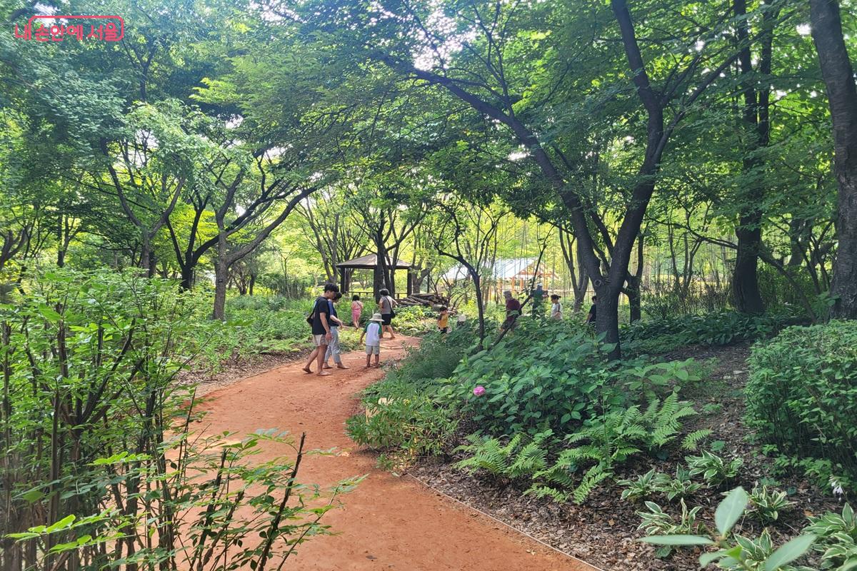 숲속으로 이어지는 맨발길은 가족 단위 방문객에게도 인기 있는 공간이다. &copy;조연