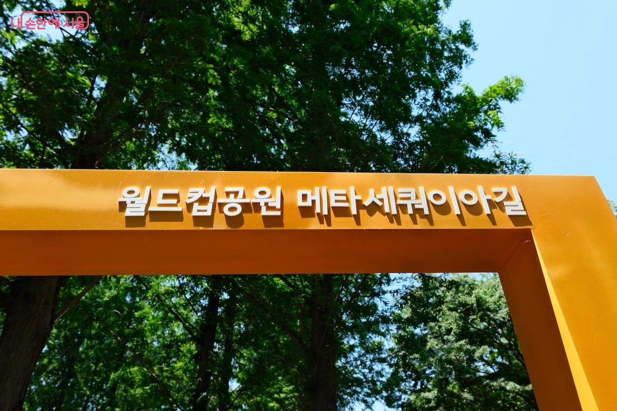 기존 하늘공원 방향의 메타세쿼이아 길과 함께 약 2.3km의 월드컵공원 메타세쿼이아 길로 합쳐졌다