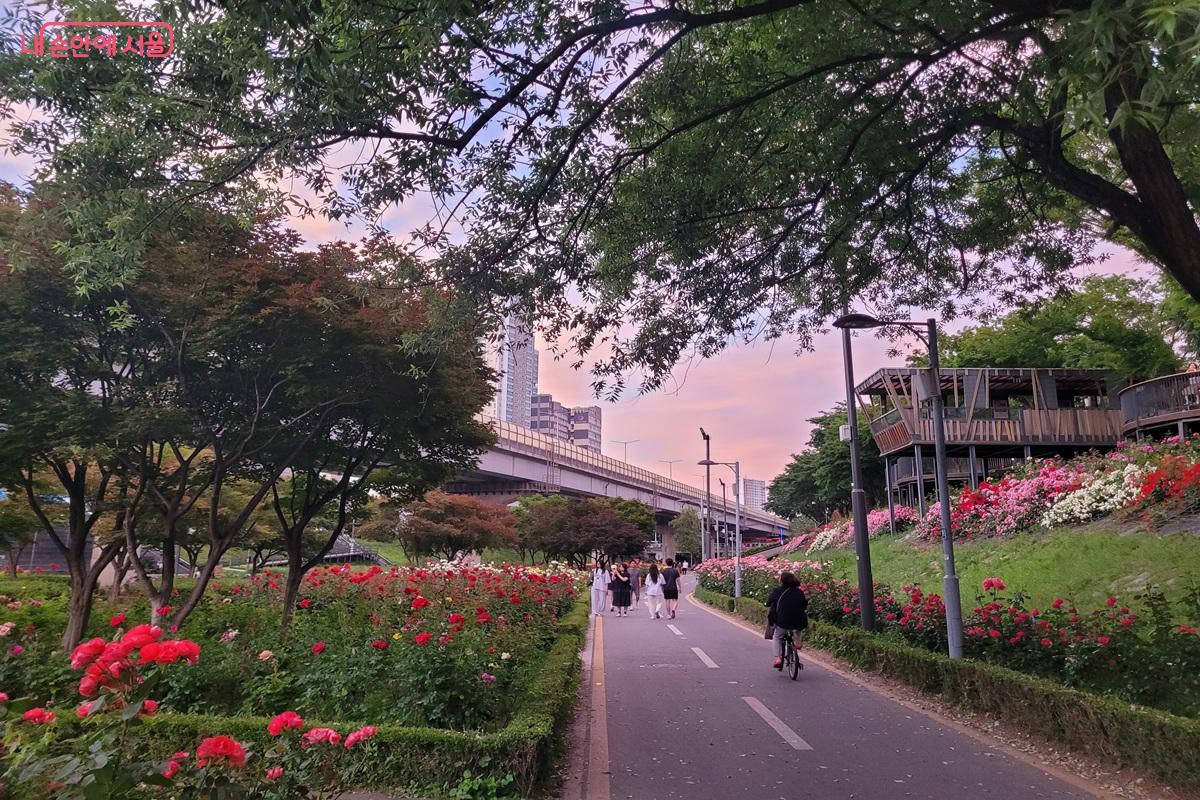 묵동천 장미정원 산책로 &copy;조연
