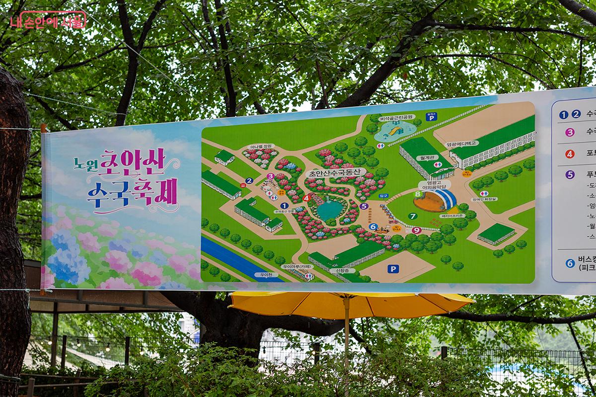 6월 20일부터 21일까지 초안산 수국축제가 열렸다. ⓒ문청야 