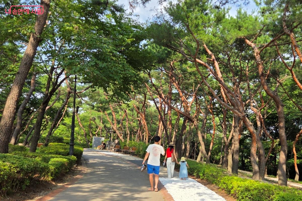 솔숲원 옆 지압길 &copy;김미선