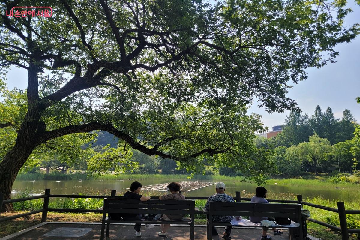 보라매공원 연못가 벤치에서 휴식을 즐기는 시민들