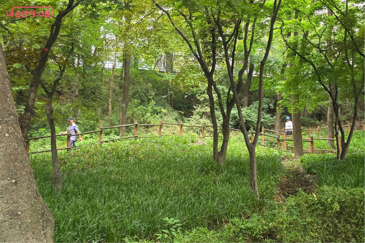 나무가 우거진 공원에서 주민들이 산책을 즐기고 있었다. ©김선희