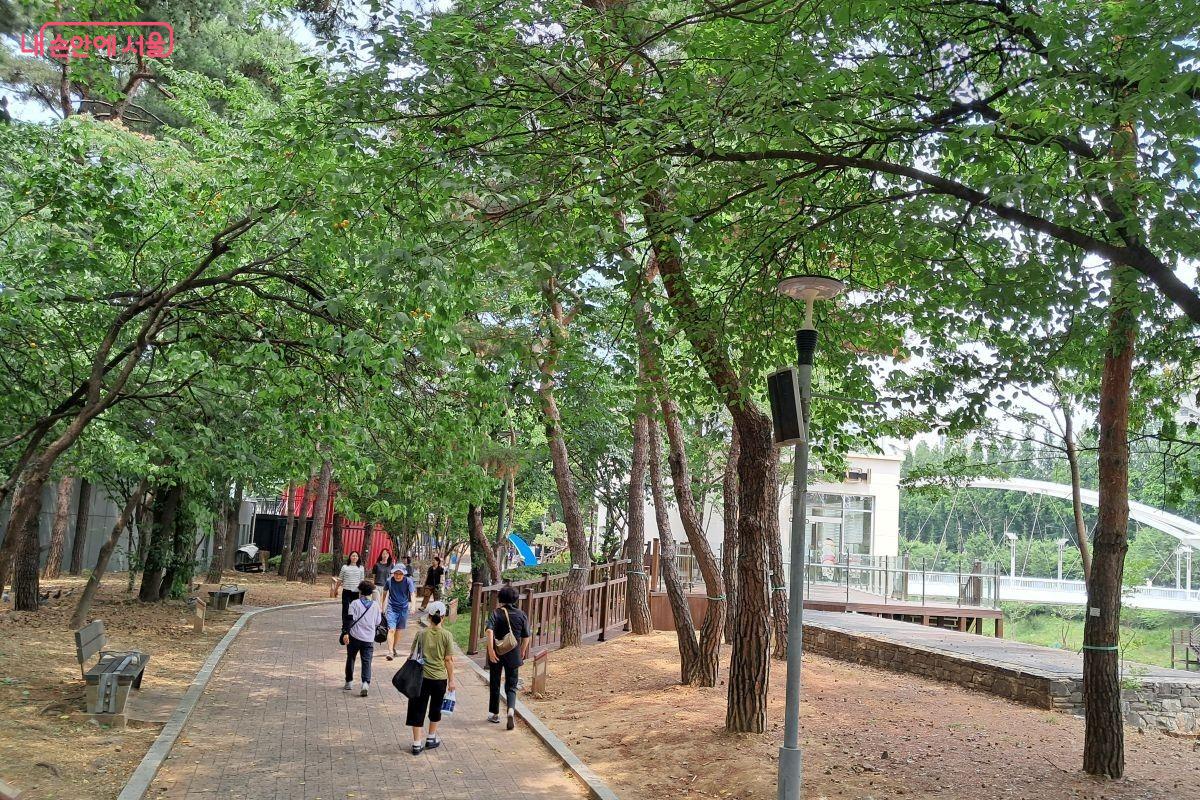 수변 카페에서 서울월드컵경기장 방향으로 이어진 울창한 산책로 &copy;장형진