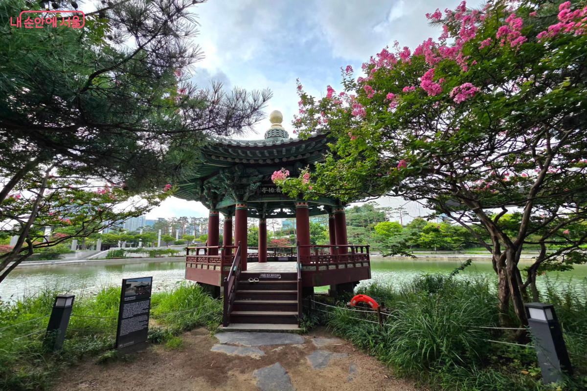 청자정 주변 배롱나무 &copy;최정윤